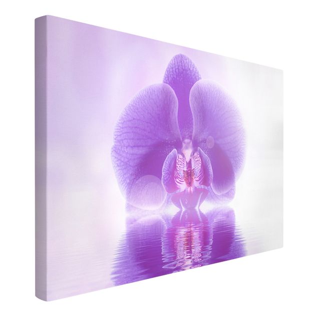 Canvas schilderijen Purple Orchid On Water