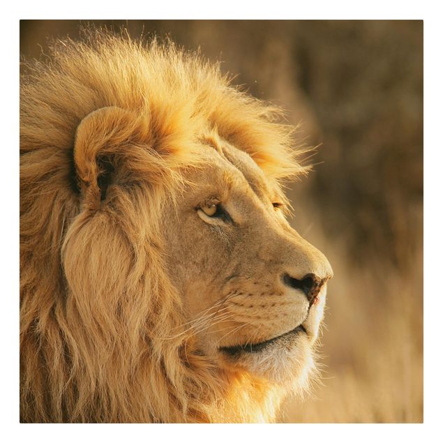 Canvas schilderijen King Lion