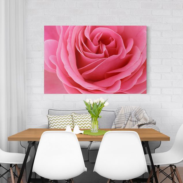 Canvas schilderijen Lustful Pink Rose
