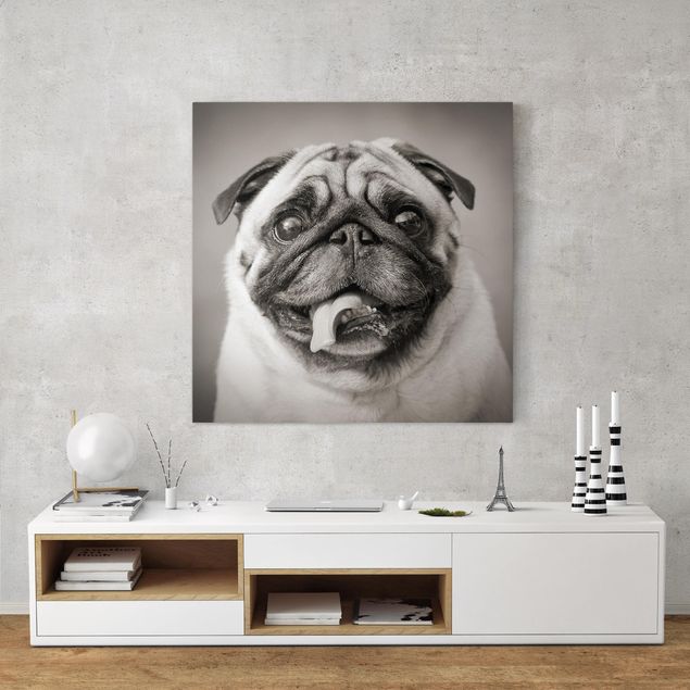 Canvas schilderijen Funny Pug