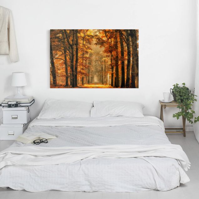 Canvas schilderijen Enchanted Forest In Autumn