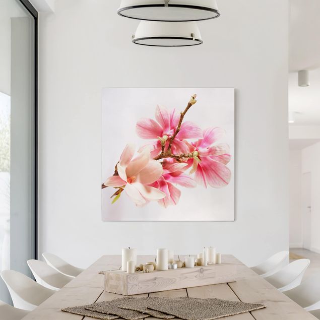 Canvas schilderijen Magnolia Blossoms