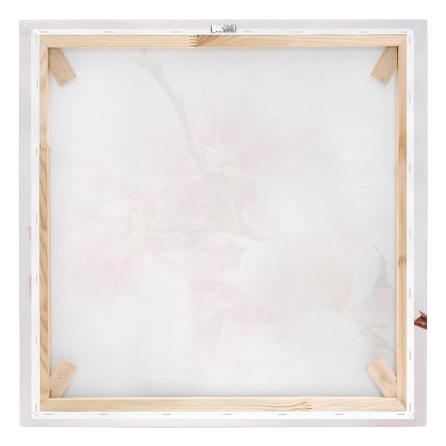 Canvas schilderijen Magnolia Blossoms
