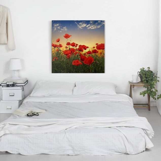 Canvas schilderijen Poppy Field In Sunset