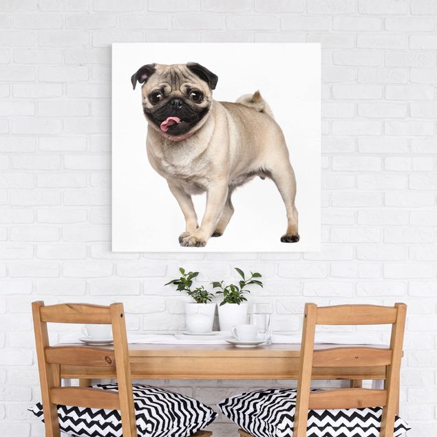 Canvas schilderijen Happy Pug