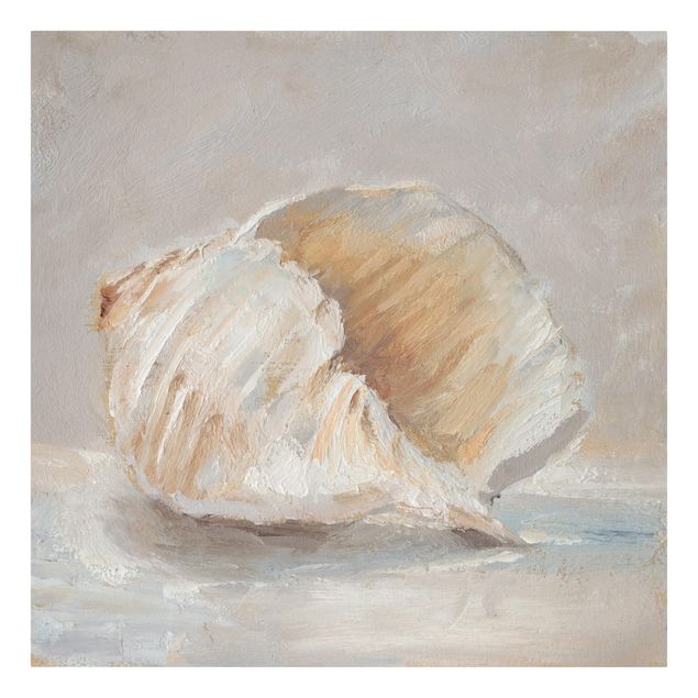 Canvas schilderijen Shell Study Iv