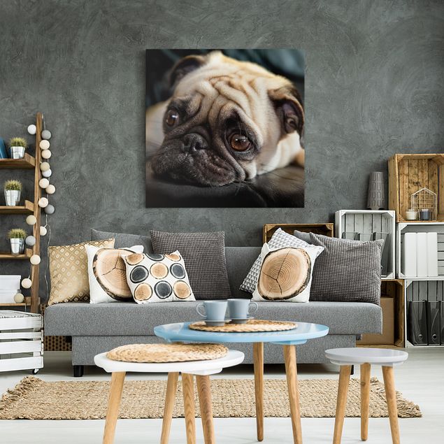 Canvas schilderijen Pensive Pug