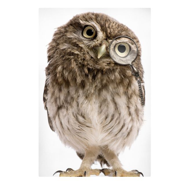 Canvas schilderijen Curious Owl