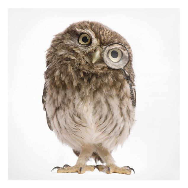 Canvas schilderijen Curious Owl