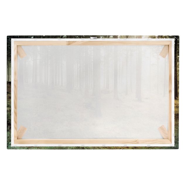Canvas schilderijen No.CA48 Morning forest