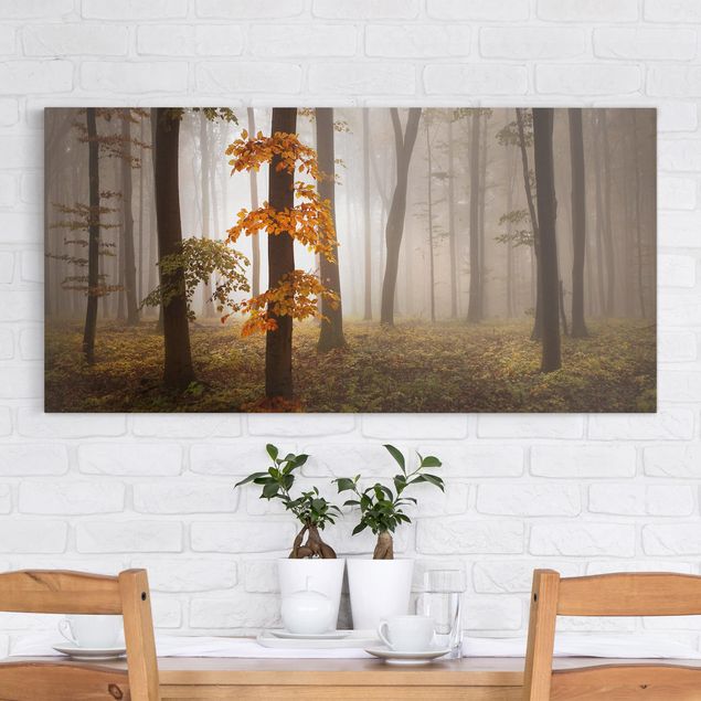 Canvas schilderijen November Forest