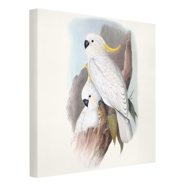 Canvas schilderijen Pastel Parrots III