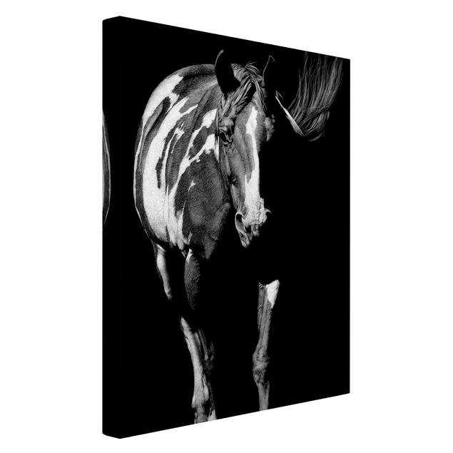 Canvas schilderijen Horse In The Dark