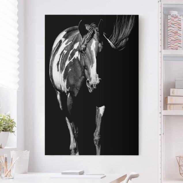 Canvas schilderijen Horse In The Dark