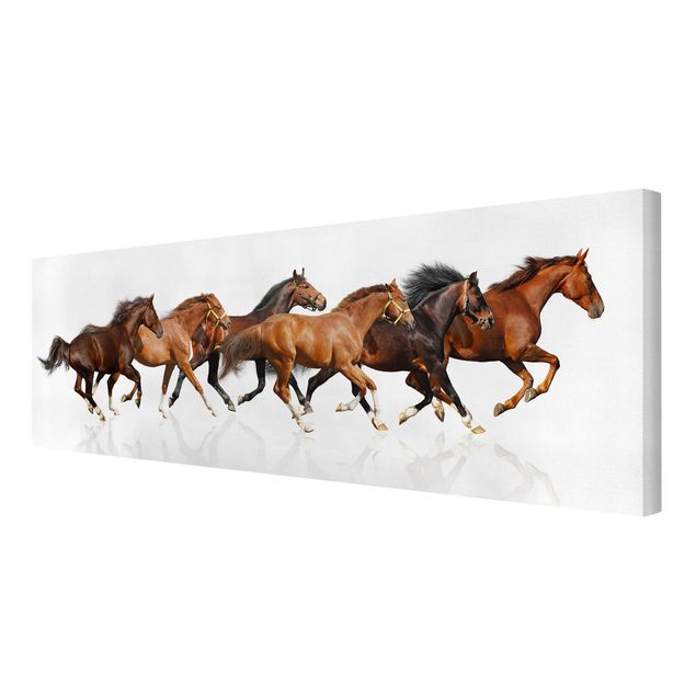 Canvas schilderijen Horse Herd
