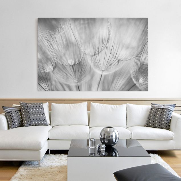 Canvas schilderijen Dandelions macro shot in black and white