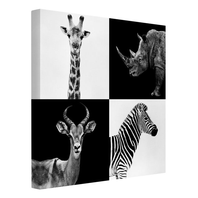Canvas schilderijen Safari Quartet