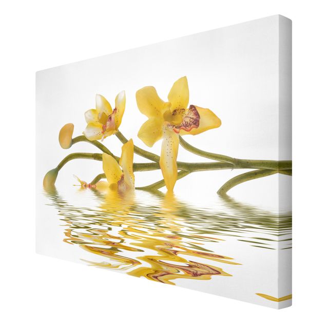 Canvas schilderijen Saffron Orchid Waters