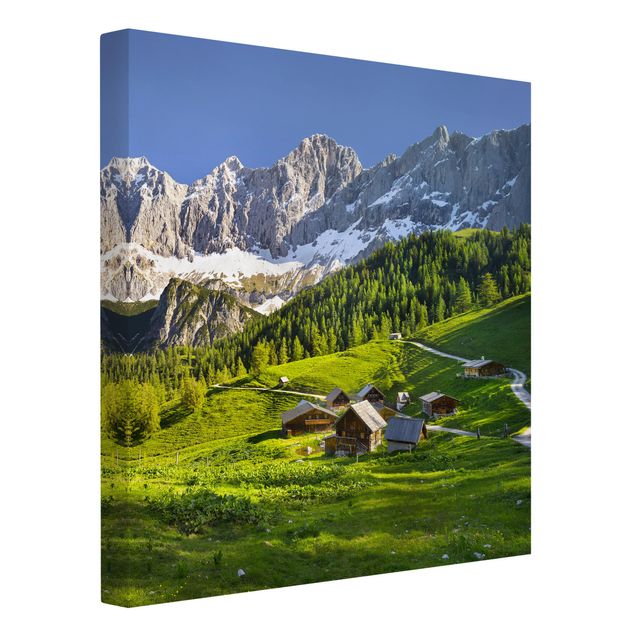 Canvas schilderijen Styria Alpine Meadow