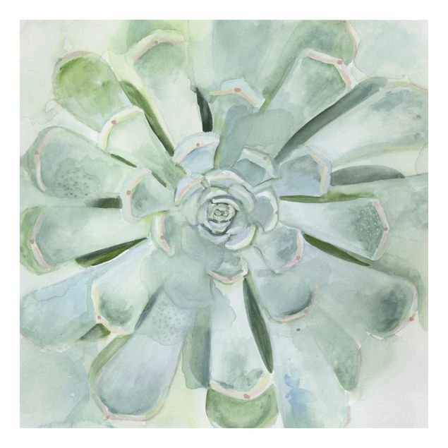 Canvas schilderijen Succulent Plant Watercolour Light Coloured