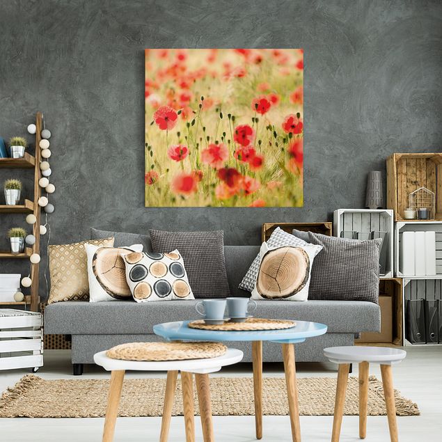 Canvas schilderijen Summer Poppies