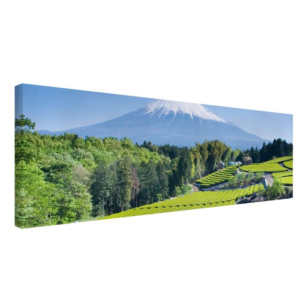 Canvas schilderijen Tea Fields In Front Of The Fuji