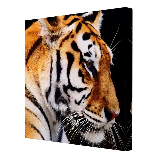 Canvas schilderijen Tiger Beauty