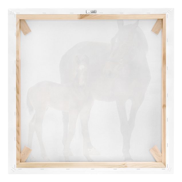 Canvas schilderijen Trakehner Mare & Foal