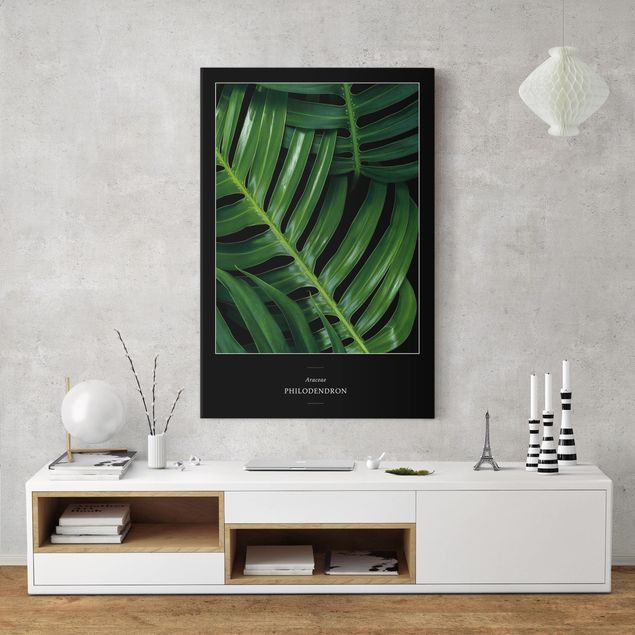 Canvas schilderijen Tropical Leaves Philodendron