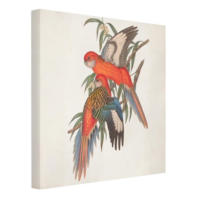 Canvas schilderijen Tropical Parrot I