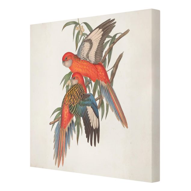 Canvas schilderijen Tropical Parrot I