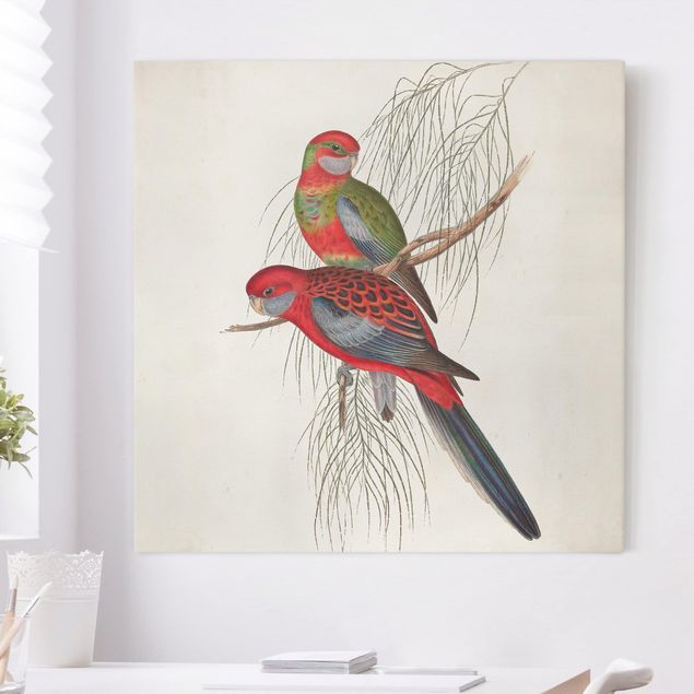 Canvas schilderijen Tropical Parrot III