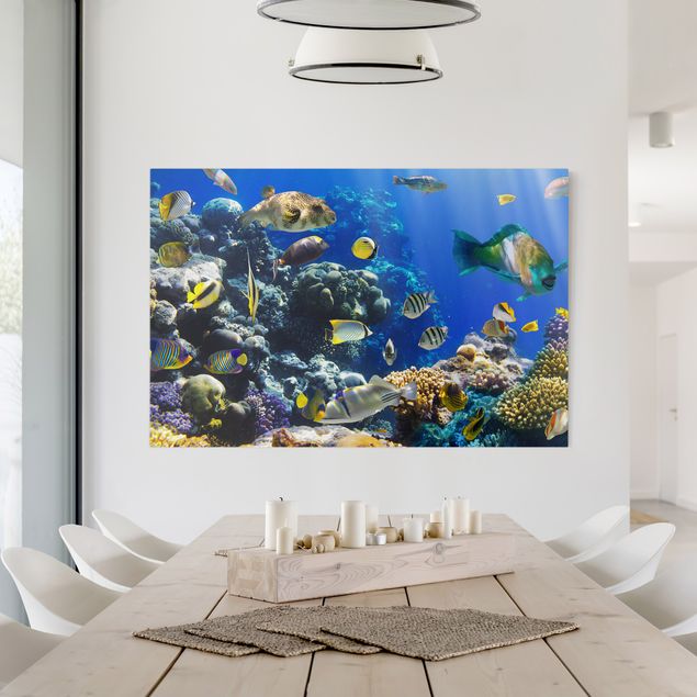 Canvas schilderijen Underwater Reef