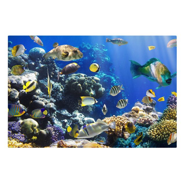 Canvas schilderijen Underwater Reef