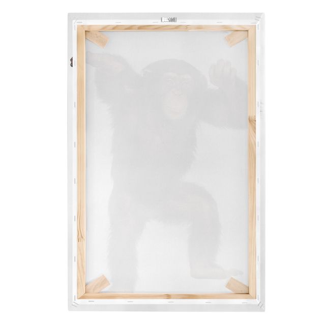 Canvas schilderijen Jolly Monkey