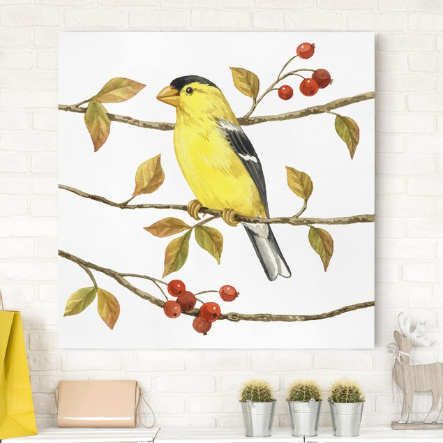 Canvas schilderijen Birds And Berries - American Goldfinch