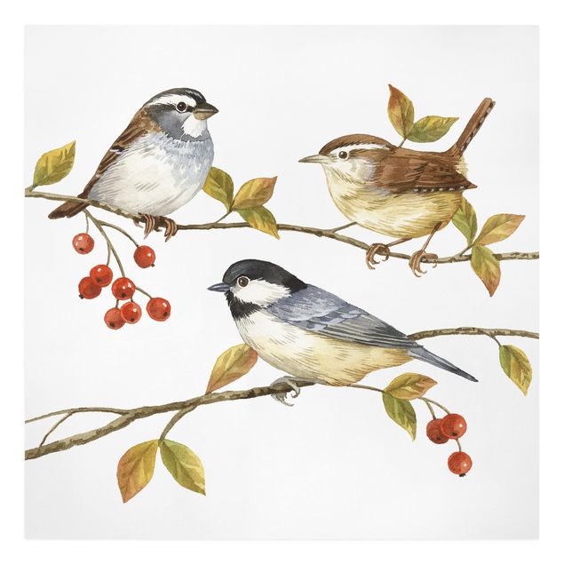 Canvas schilderijen Birds And Berries - Tits