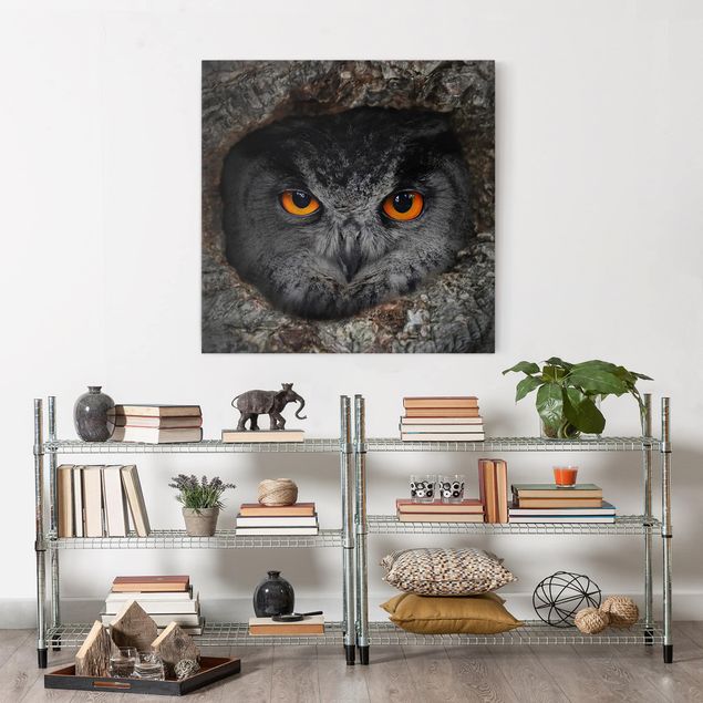 Canvas schilderijen Watching Owl