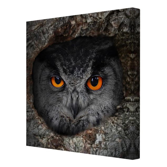 Canvas schilderijen Watching Owl