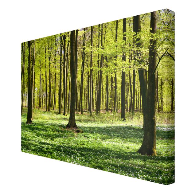 Canvas schilderijen Forest Meadow