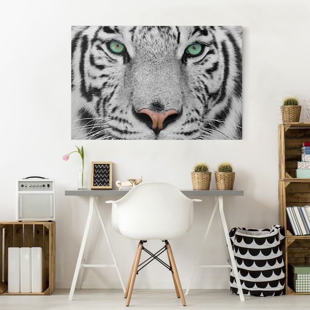 Canvas schilderijen White Tiger