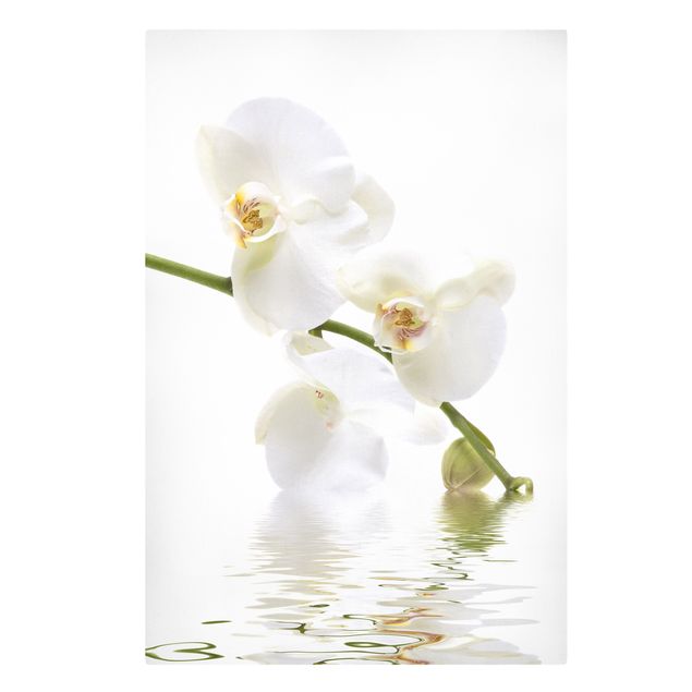 Canvas schilderijen White Orchid Waters