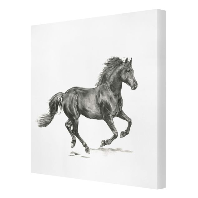 Canvas schilderijen Wild Horse Trial - Stallion