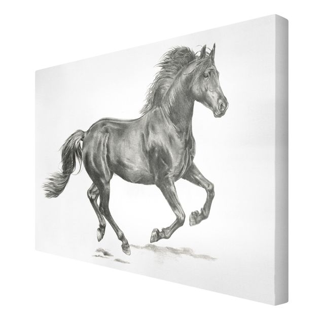 Canvas schilderijen Wild Horse Trial - Stallion