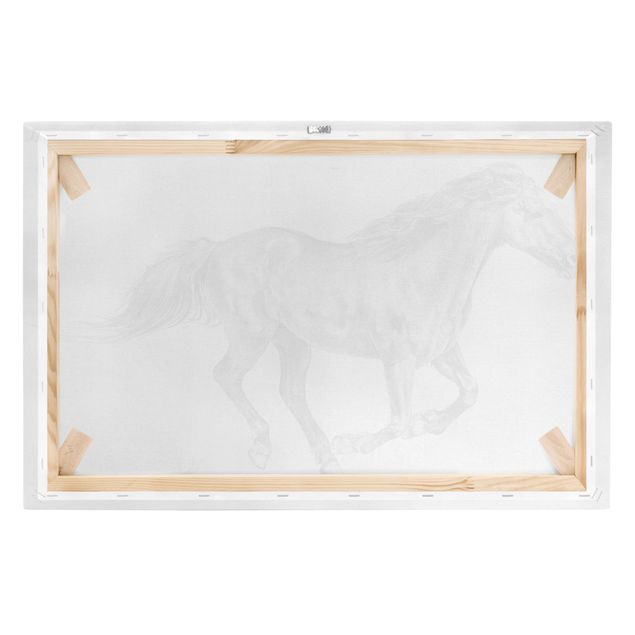 Canvas schilderijen Wild Horse Trial - Mare