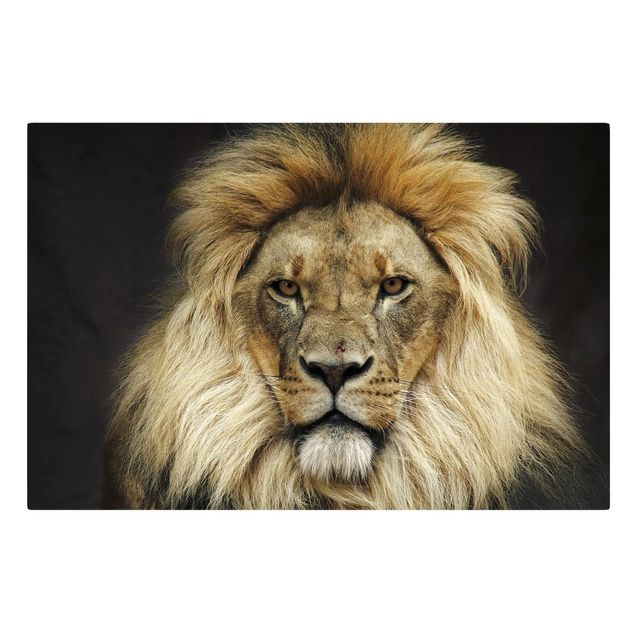 Canvas schilderijen Wisdom Of Lion