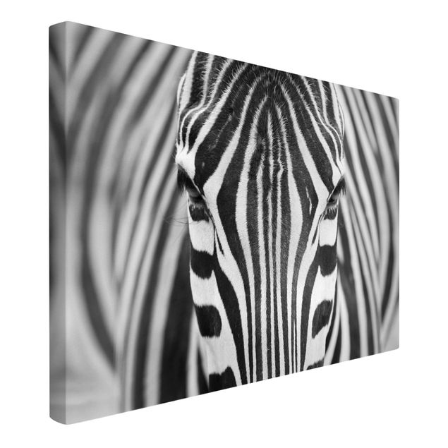 Canvas schilderijen Zebra Look