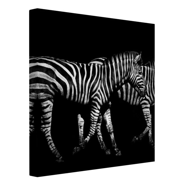 Canvas schilderijen Zebra In The Dark