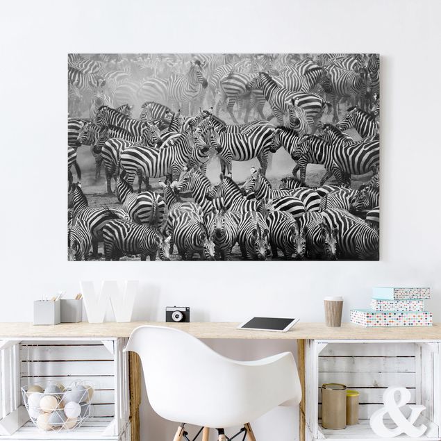 Canvas schilderijen Zebra herd II