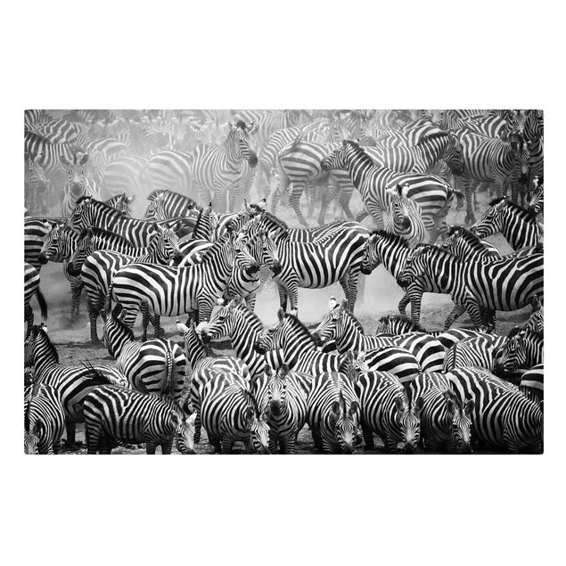Canvas schilderijen Zebra herd II